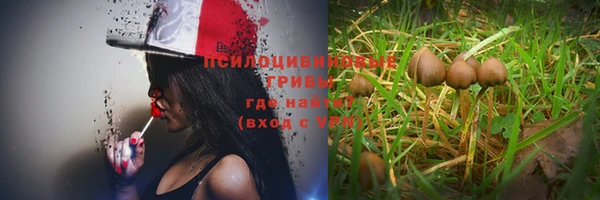 каннабис Пролетарск