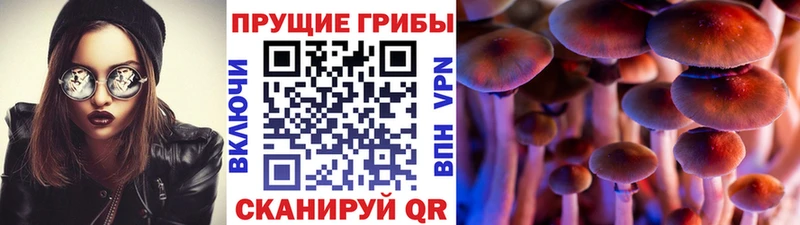 Галлюциногенные грибы GOLDEN TEACHER  кракен зеркало  Себеж  магазин  наркотиков 